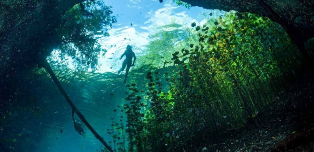 Person swimming in a body of water, enjoying the relaxing atmosphere of the White City, Merida.