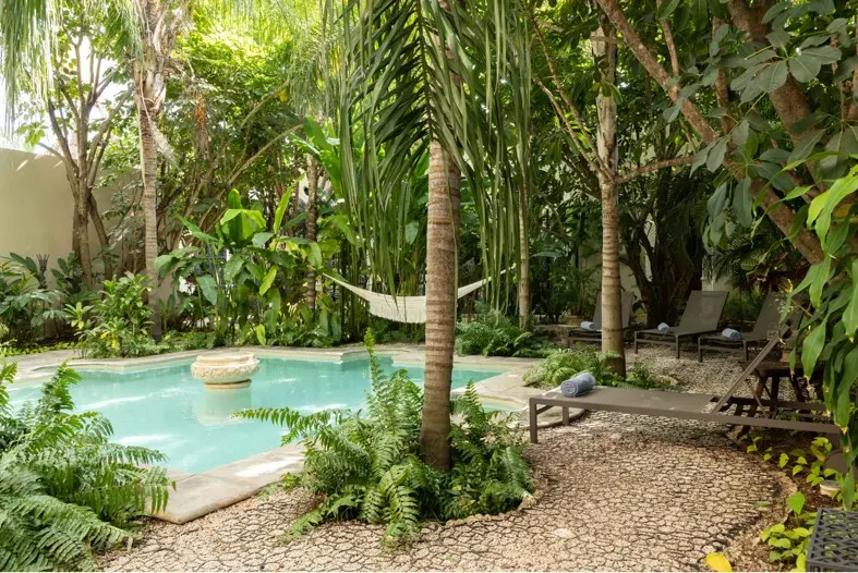 Elegant and tropical view of Künük, showing a luxurious environment with green gardens, outdoor spaces and a serene atmosphere.